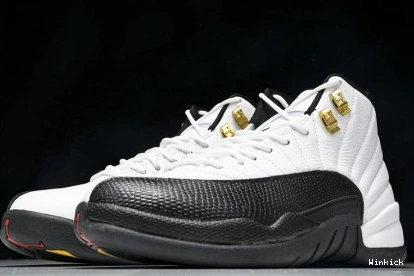 Air Jordan "Taxi" 12 130690-125 1029